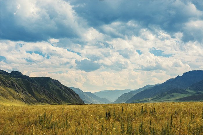 Beautiful outdoors for stress relief.
