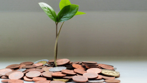 Plant surrounded by coins signifying saving money.
