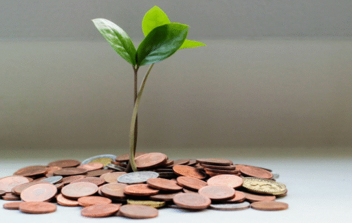 Plant surrounded by coins signifying saving money.